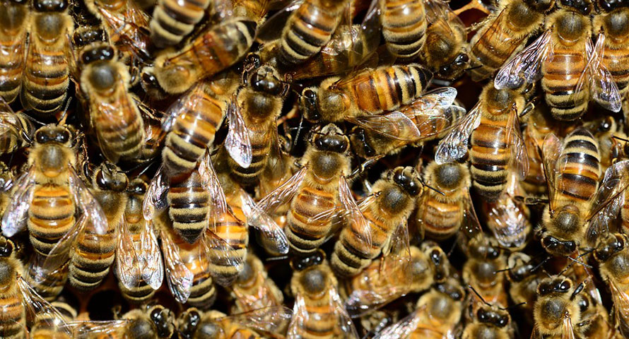 БРЗО ПОЈАЧУВАЊЕ НА СЛАБИ ДРУШТВА