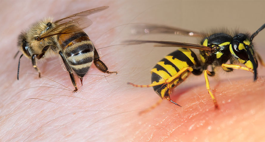 УБОДИ ОД ПЧЕЛИ