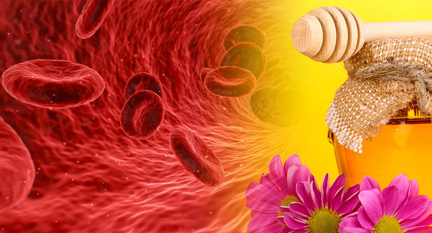 СЛАБОКРВНОСТ